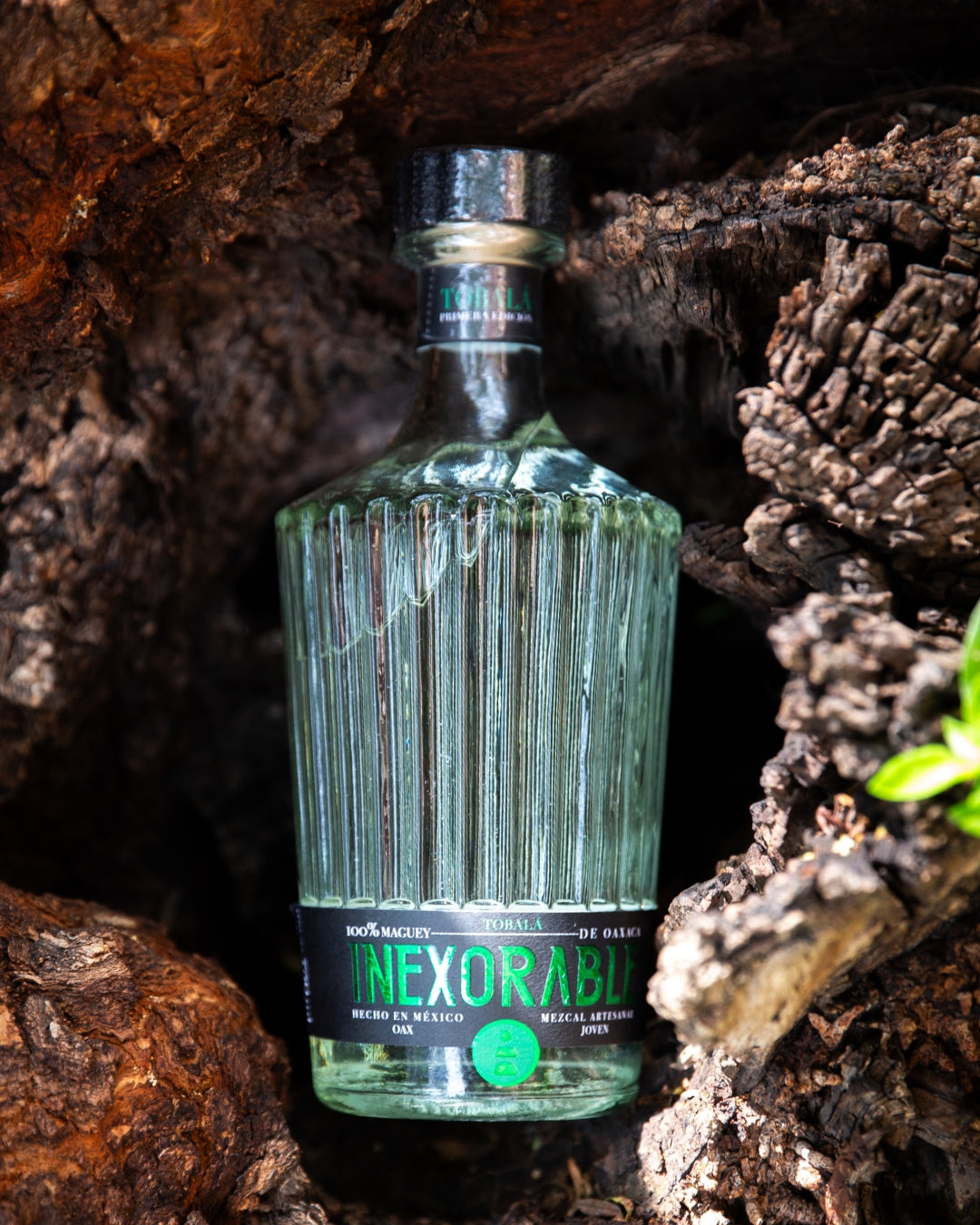 🟎MEZCAL TOBALÁ🟎 750ml