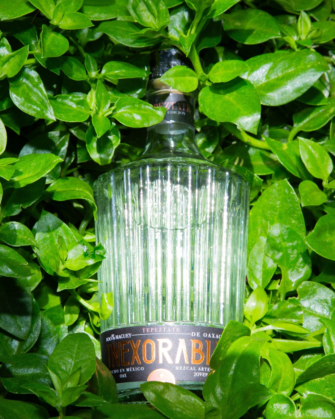 🟎MEZCAL TEPEZTATE🟎750ml
